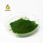 Chlorella Protein Powder Manufacturer - Sustainable Plant-Based Nutrition
