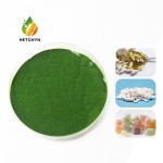 Chlorella Powder Supplier - Eco-Friendly Superfood Feed High Protein