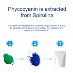 Spirulina Extract Powder Factory - Blue Phycocyanin Food Grade Bulk