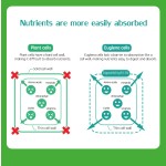 Euglena Powder Factory - Paraxanthine Nutrition Supplement 60%