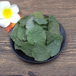 Epimedium Brevicornum Factory - Hand Picked Herbal Medicine