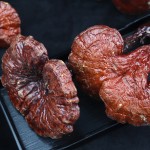 Reishi Mushroom Factory - Traditional Herbal Medicine OEM