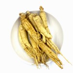 Panax Ginseng Extract Factory - Chinese Ginseng Powder Supplier