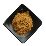 Angelica Sinensis Extract Manufacturer - Natural Angelica Powder