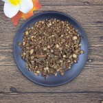 Salvia Miltiorrhiza Factory - Dan Shen Root Slice Supplier