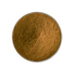 Dodder Extract Factory - Cuscuta Extract Powder 10:1 Supplier