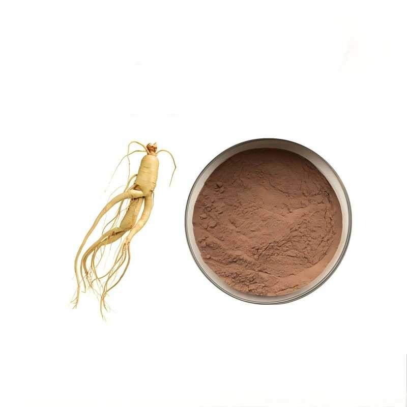 Panax Ginseng Extract Factory - Chinese Ginseng Powder Supplier