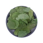 Epimedium Brevicornum Factory - Hand Picked Herbal Medicine