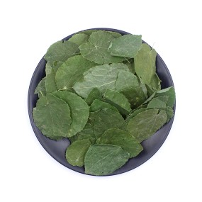 Epimedium Brevicornum Factory - Hand Picked Herbal Medicine