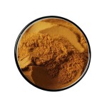 Angelica Sinensis Extract Manufacturer - Natural Angelica Powder