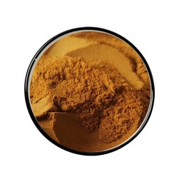 Angelica Sinensis Extract Manufacturer - Natural Angelica Powder