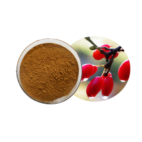Cornus Officinalis Extract Factory - Food Grade Dogwood Fruit