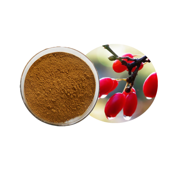 Cornus Officinalis Extract Factory - Food Grade Dogwood Fruit