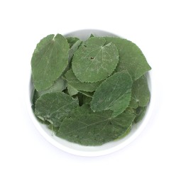 Epimedium Leaf Manufacturer - Best Selling Herb Supplier