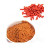 Black Wolfberry Powder Manufacturer - Bulk Goji Berry Supplier