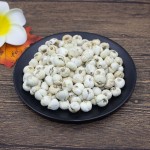 Fritillaria Cirrhosa Factory - Dried Chuan Bei Mu Wholesale