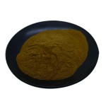 Jujube Powder Factory - Nutrition Extract Bulk Supplier