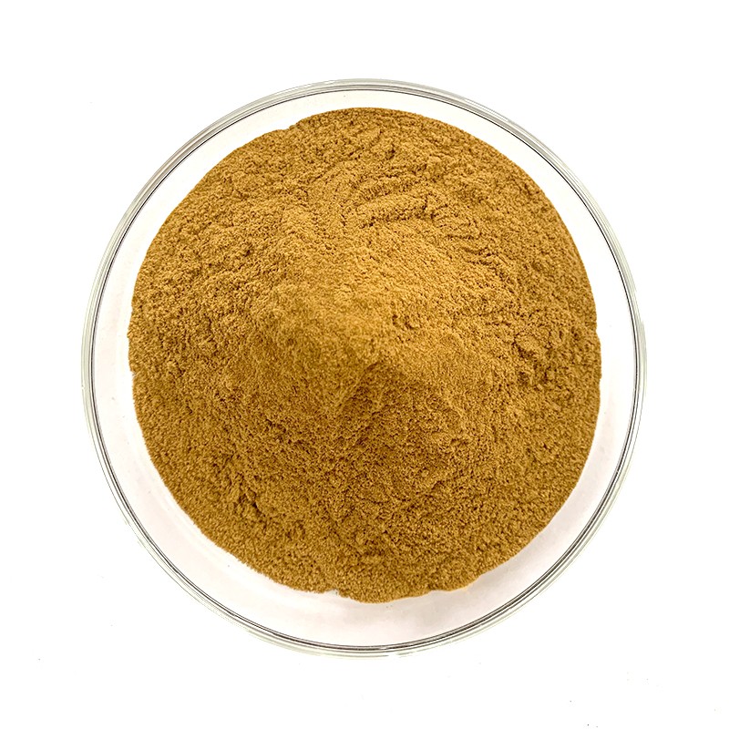 Cornus Extract Factory - Natural Organic Fruit Powder