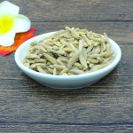 Liriope Spicata Manufacturer - Popular Herbal Medicine Supplier