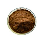 Silkworm Chrysalis Extract Factory - Traditional Chinese Medicine
