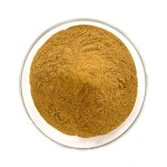 Cornus Officinalis Extract Factory - Food Grade Dogwood Fruit