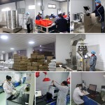 Rhodiola Extract Manufacturer - Rosea Root Powder Bulk