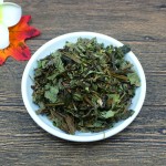 Houttuynia Cordata Factory - Herbal Medicine Wholesale