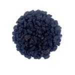Frozen Mulberry Manufacturer - Organic Detox Tea Supplier