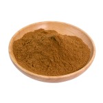Dodder Extract Factory - Cuscuta Extract Powder 10:1 Supplier