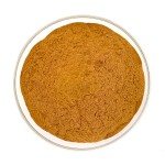 Black Wolfberry Powder Manufacturer - Bulk Goji Berry Supplier