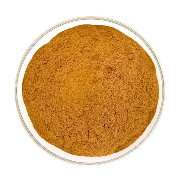 Black Wolfberry Powder Manufacturer - Bulk Goji Berry Supplier