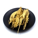 Panax Ginseng Extract Factory - Chinese Ginseng Powder Supplier