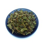 Houttuynia Cordata Manufacturer - Fish Mint Leaf Supplier