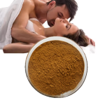 Cornus Officinalis Extract Factory - Food Grade Dogwood Fruit