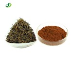 Black Tea Extract Powder Manufacturer - 30% Polyphenols Custom Grade