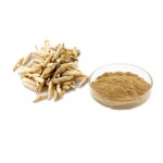 Ophiopogon Extract Powder Manufacturer - 20:1 Chinese Herbal Custom