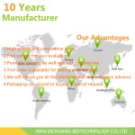 Freeze Dried Lychee Powder Manufacturer - Fruit Juice Powder Bulk