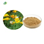 California Poppy Extract Supplier - 10:1 Eschscholtzia Powder Bulk