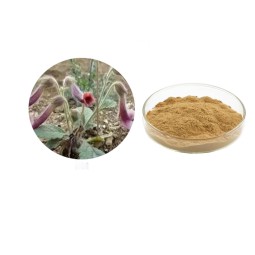 Rehmannia Root Extract Factory - 20:1 Digitalis Lanata Custom Extract