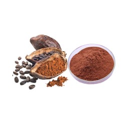 Cocoa Powder Manufacturer - Alkalized Black Cocoa Extract Custom