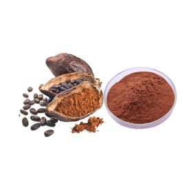 Cocoa Powder Manufacturer - Alkalized Black Cocoa Extract Custom