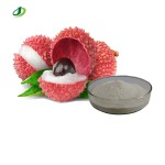Freeze Dried Lychee Powder Manufacturer - Fruit Juice Powder Bulk