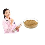 Ligustrum Extract Powder Supplier - 10:1 20:1 Glossy Privet Custom