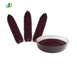 Purple Corn Extract Supplier - 1%-25% Anthocyanidins Black Corn
