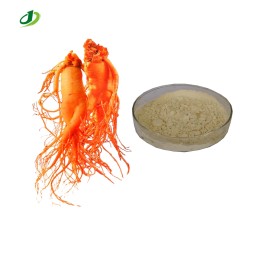 Red Ginseng Root Extract Supplier - 80% Ginsenoside Powder Korean