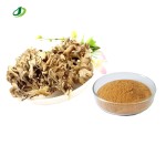 Maitake Mushroom Extract Factory - 30%-50% Polysaccharide Custom