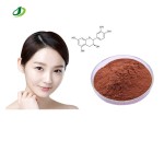 Pycnogenol Extract Powder Manufacturer - Bulk Custom Powder Supply