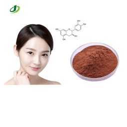 Pycnogenol Extract Powder Manufacturer - Bulk Custom Powder Supply