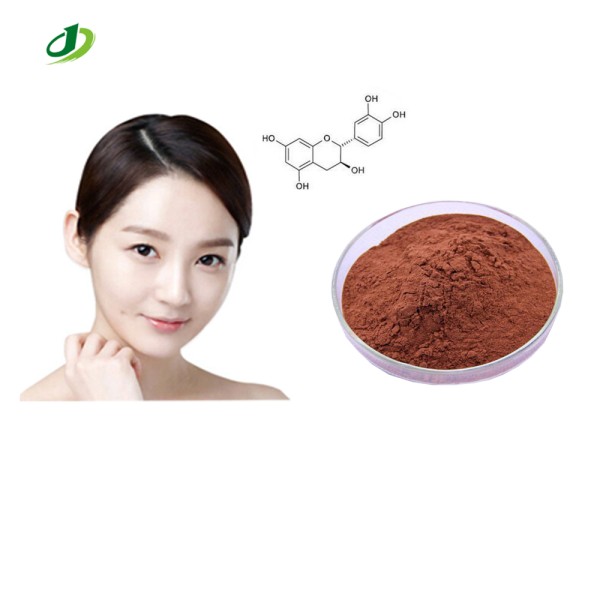 Pycnogenol Extract Powder Manufacturer - Bulk Custom Powder Supply