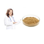 Camu Camu Extract Factory - 20% VC Fruit Powder Custom Formula
